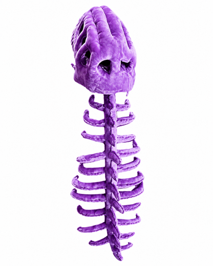SnuggleSaurus - Plush Costume